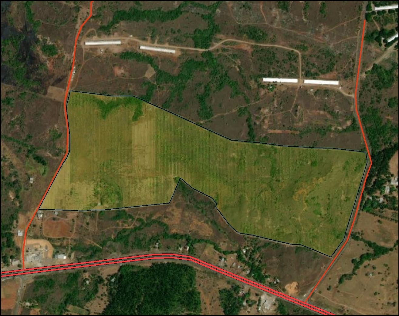 Imagen 2 – vista satelital de Cañazas