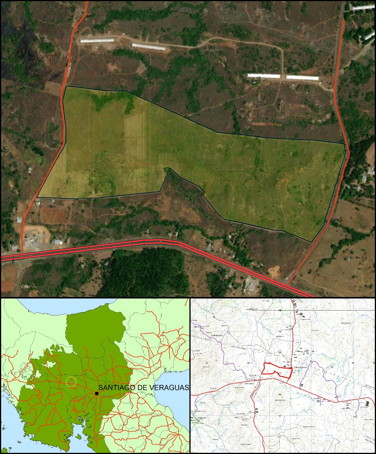 Imagen 6 – composición vertical de Cañazas