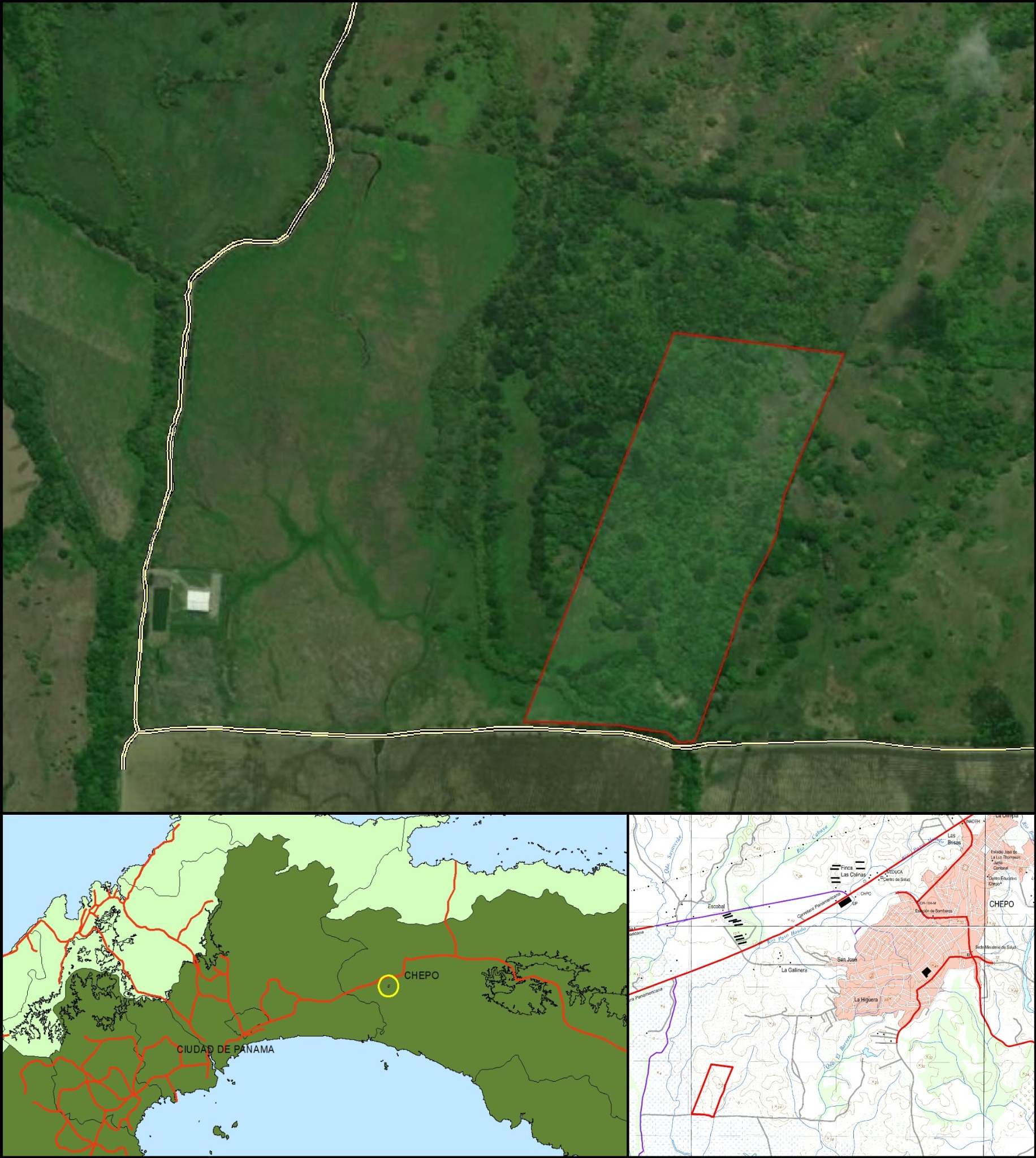Imagen 6 – composición vertical de Chepo