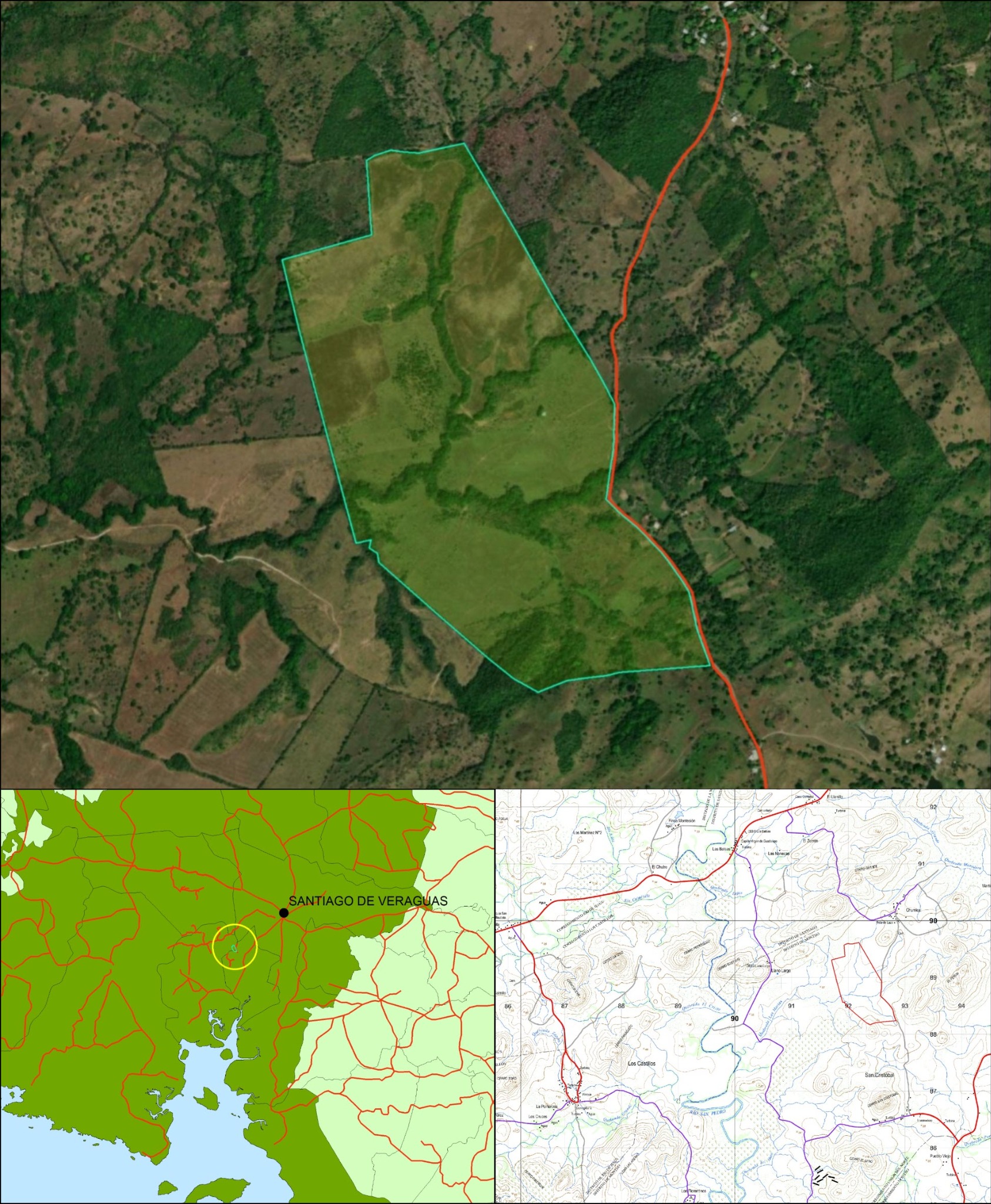Imagen 6 – composición vertical de Los Algarrobos